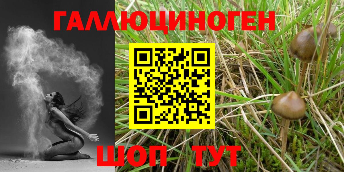 Псилоцибиновые грибы мухоморы Кунгур