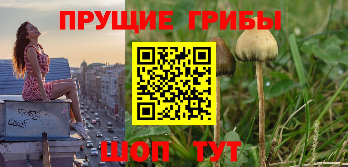 Кунгур  Галлюциногенные грибы GOLDEN TEACHER  Вход с VPN 